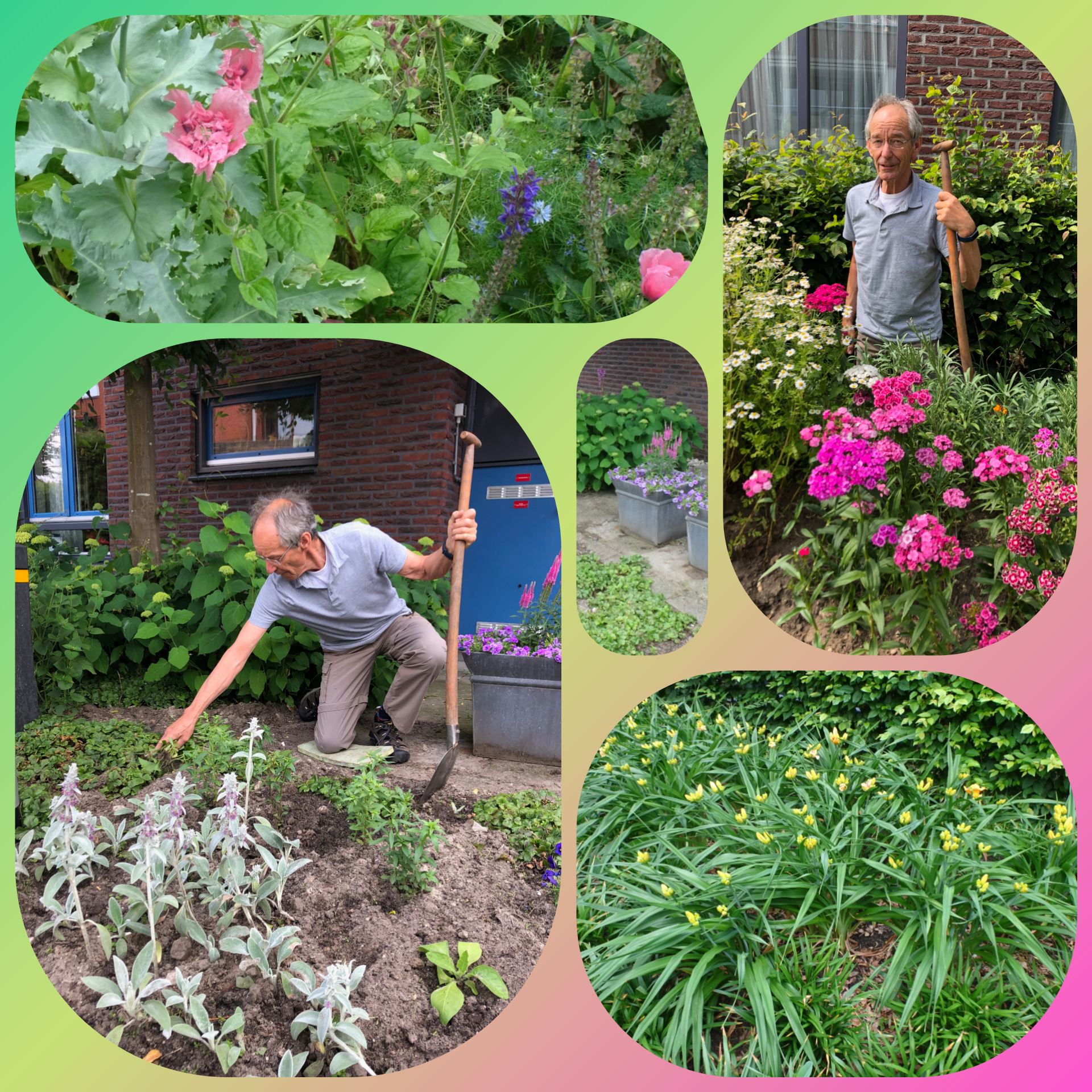 Jan in de tuin